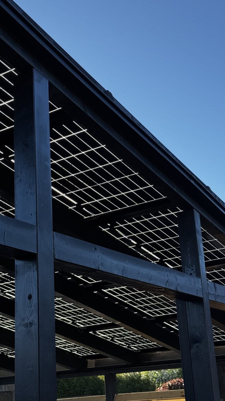 Ihre regionalen Photovoltaik-Profis – Qualität und Rundum-Sorglos-Paket inklusive